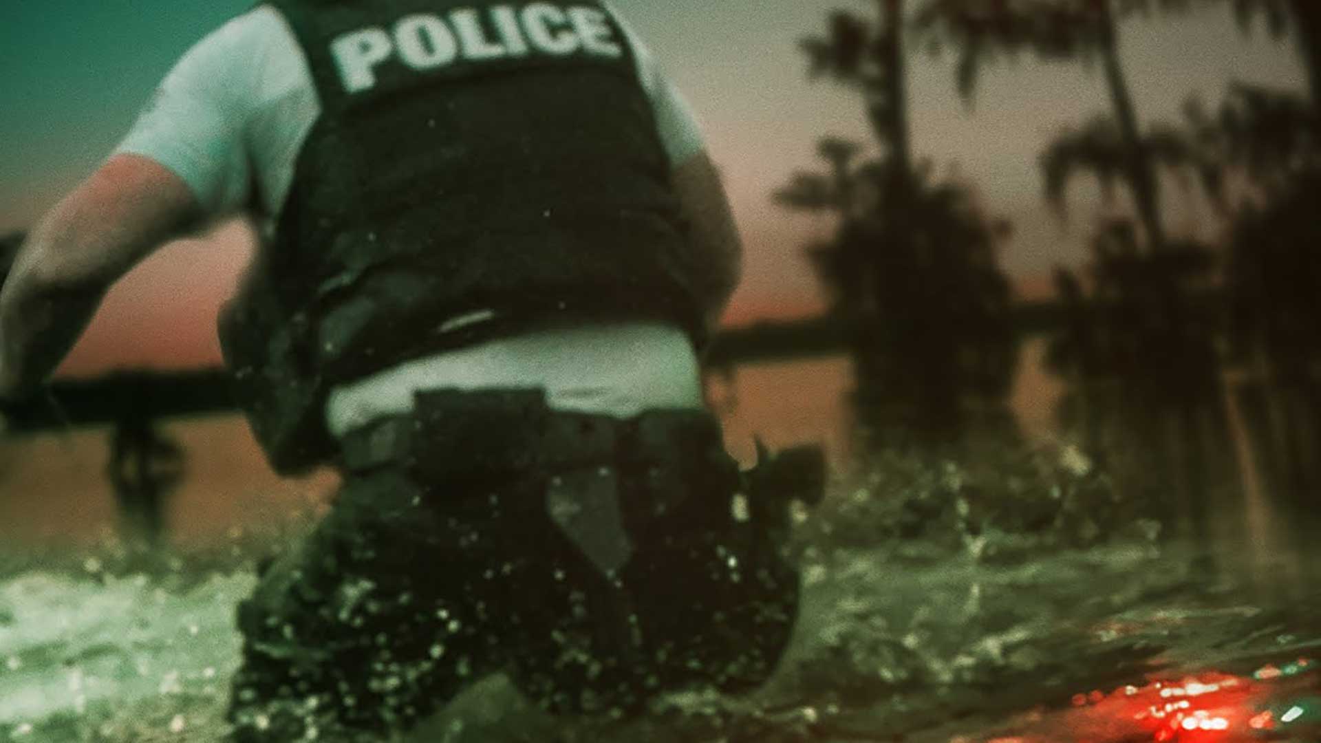 swamp1080